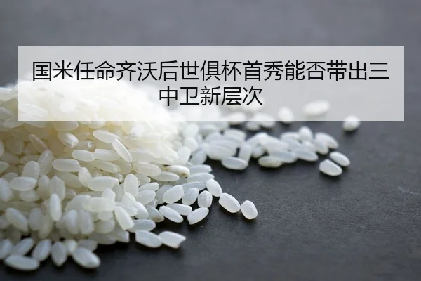 国米任命齐沃后世俱杯首秀能否带出三中卫新层次