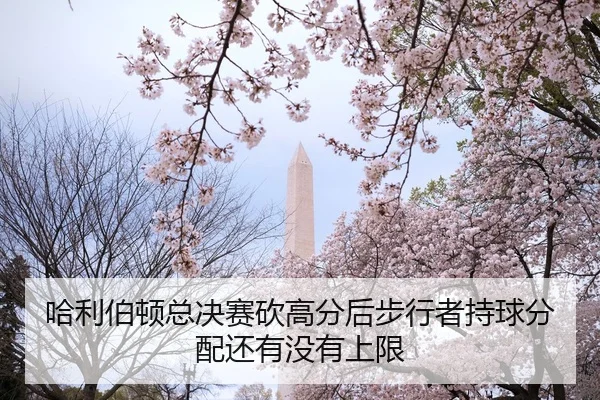 哈利伯顿总决赛砍高分后步行者持球分配还有没有上限